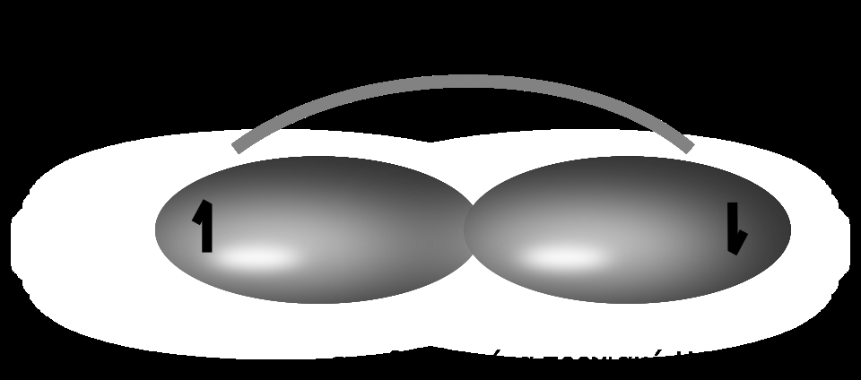Atomic orbital shapes: s, p, d