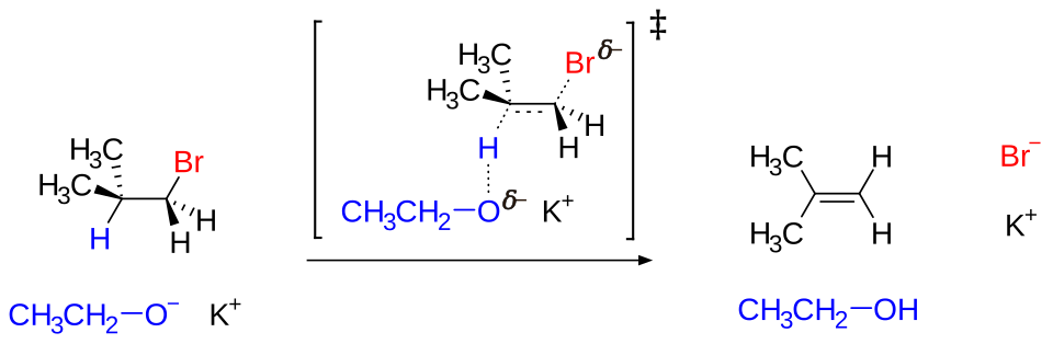 E1 vs E2 mechanisms