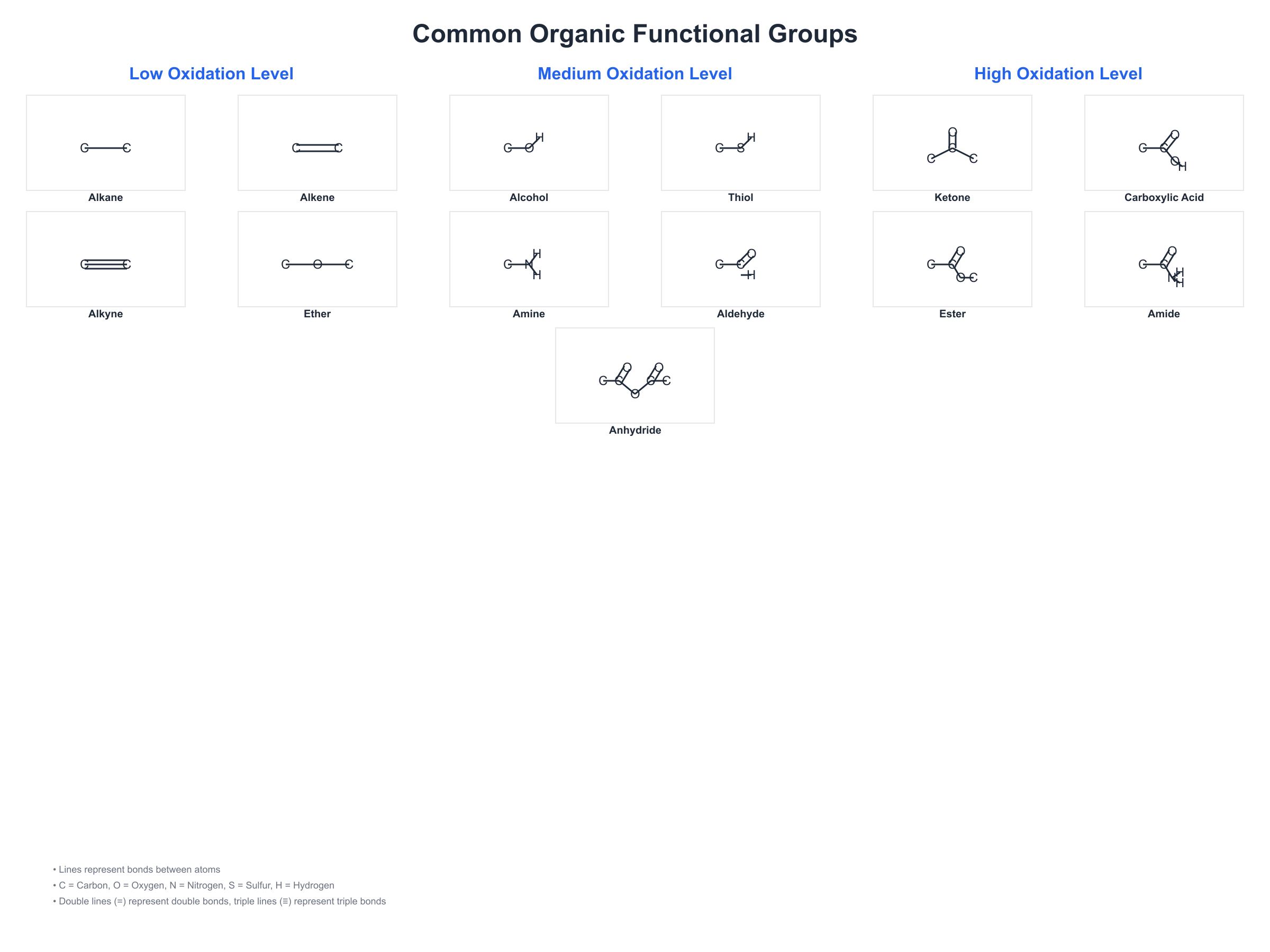 Major organic functional groups